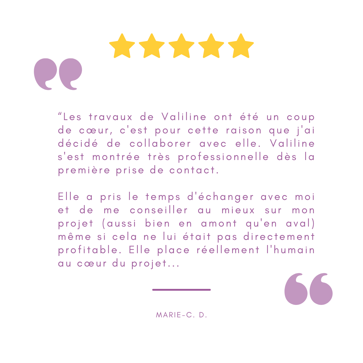 avis valiline illustrations 13