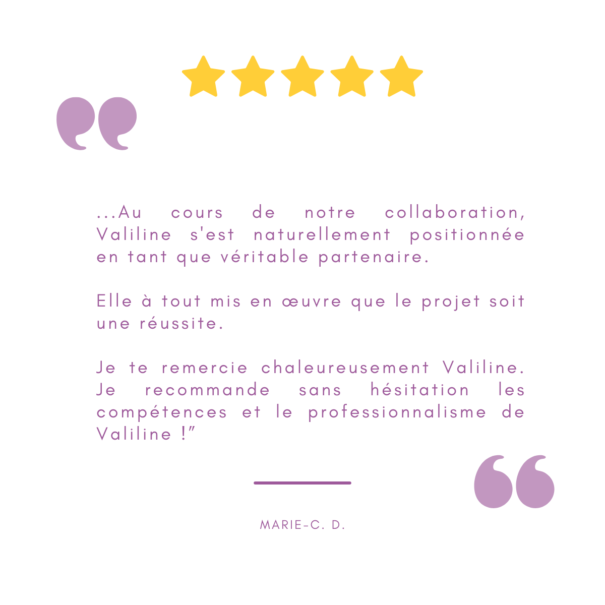 avis valiline illustrations 14